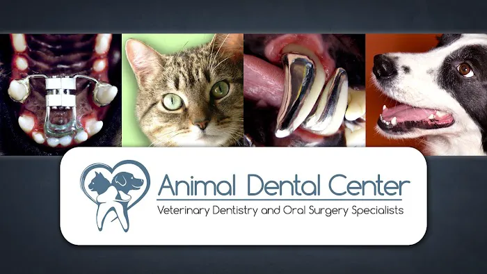 Animal Dental Center Picture 5
