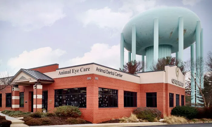 Animal Dental Center Picture 6
