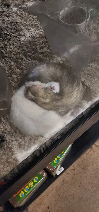 Petco Picture 4