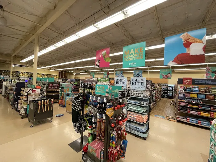 Petco Picture 2