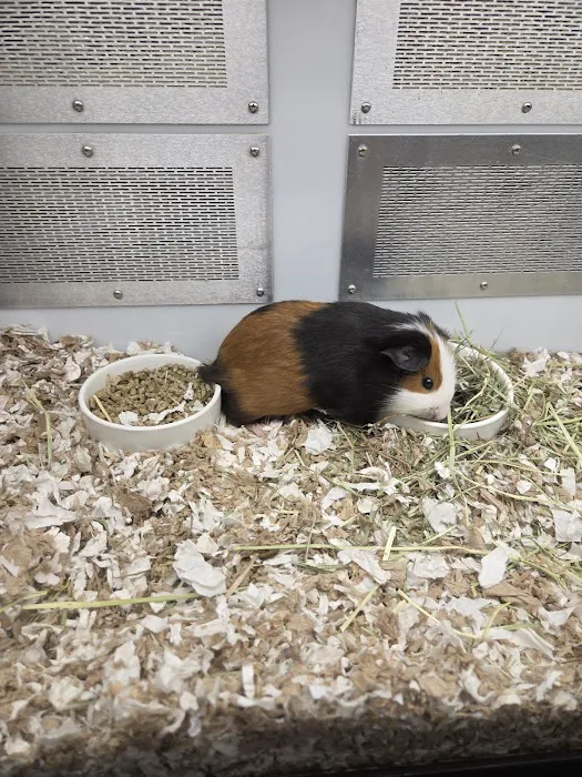 Petco Picture 8