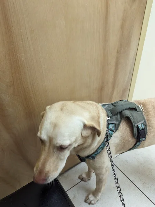Countryside Veterinary Clinic Picture 1