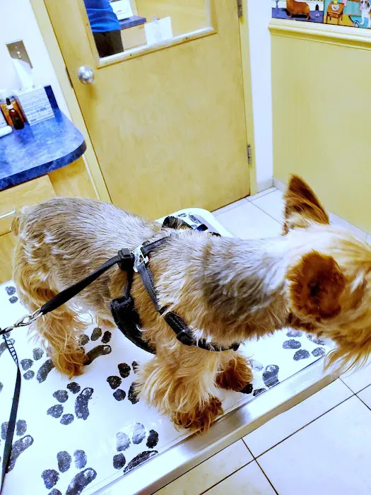 Countryside Veterinary Clinic Picture 9