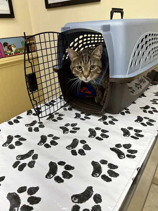 Countryside Veterinary Clinic Picture 2