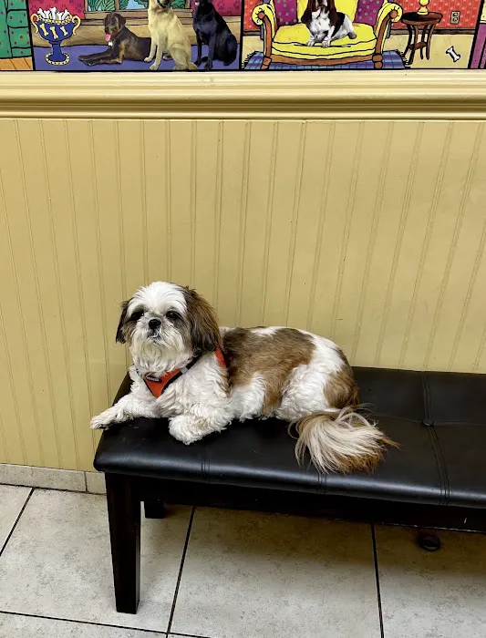 Countryside Veterinary Clinic Picture 6