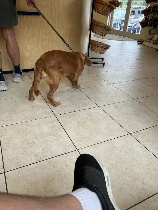 Countryside Veterinary Clinic Picture 7