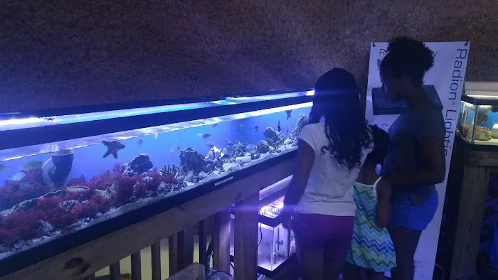 Austin Aqua-Dome Picture 7