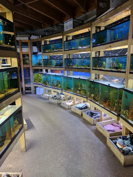 Austin Aqua-Dome Picture 8