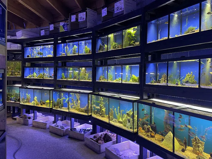 Austin Aqua-Dome Picture 5