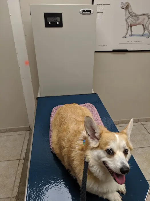 Cat & Dog Hospital of Columbia Picture 4