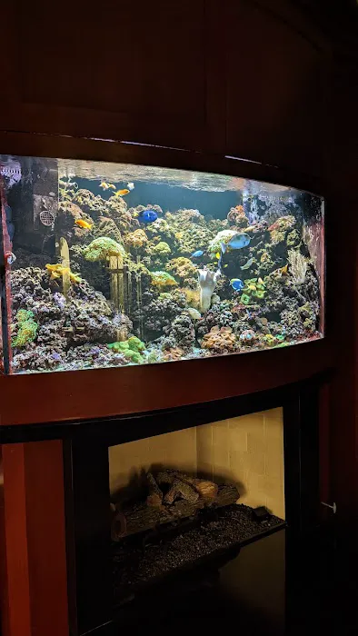 Fish Whisper Picture 4