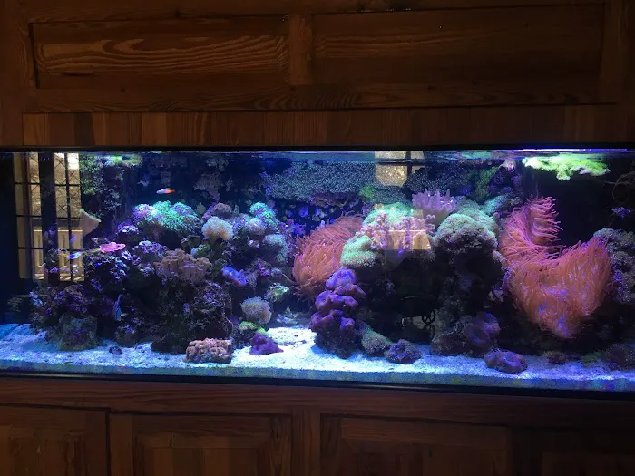 Fish Whisper Picture 1