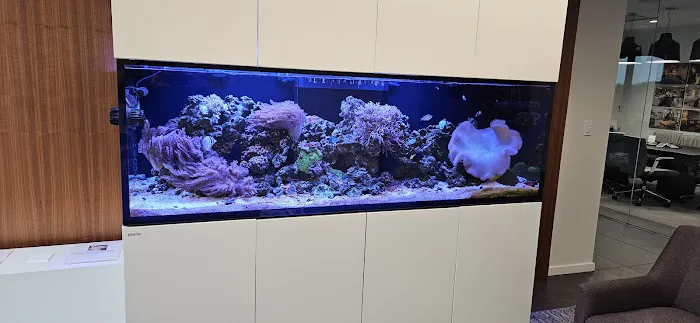 The Aquarium Company Picture 9