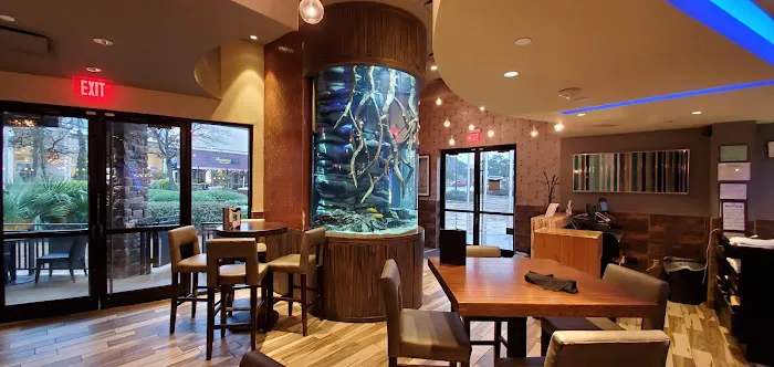 The Aquarium Company Picture 4