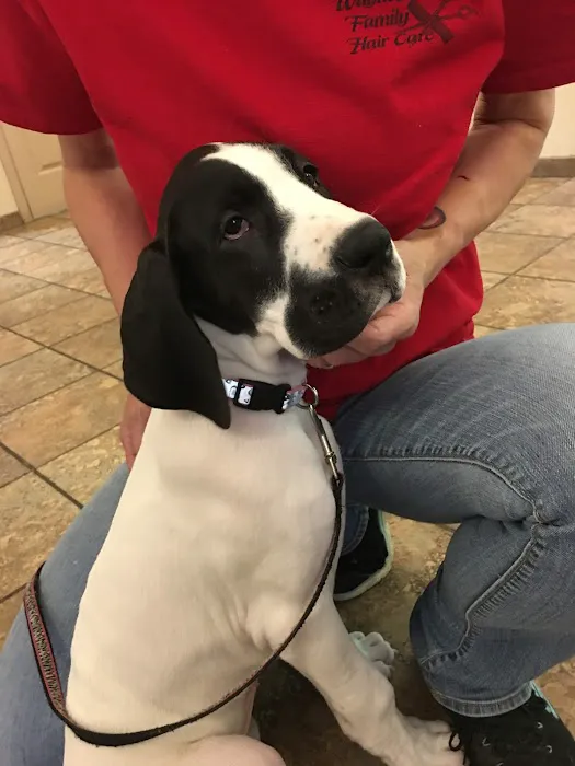 Waynesboro Veterinary Clinic Picture 9