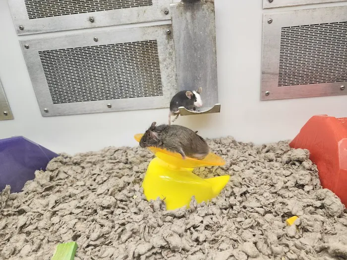Petco Picture 2