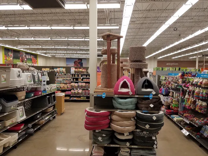 Petco Picture 3