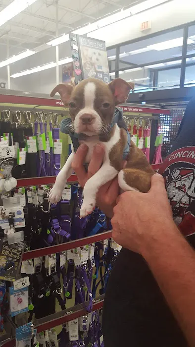 Petco Picture 8