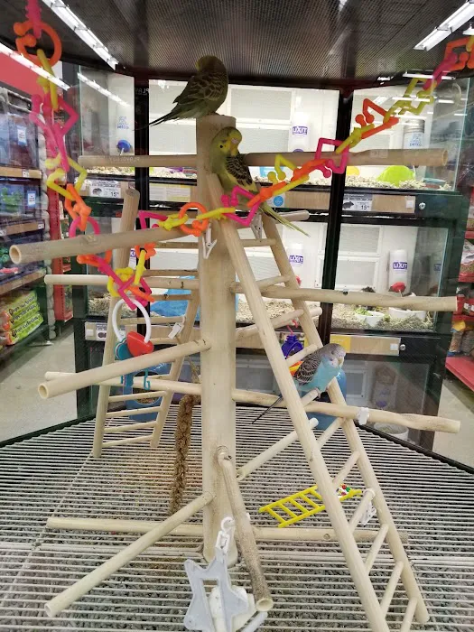 Petco Picture 10