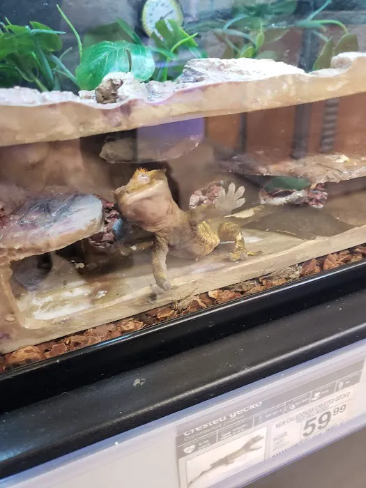 Petco Picture 5