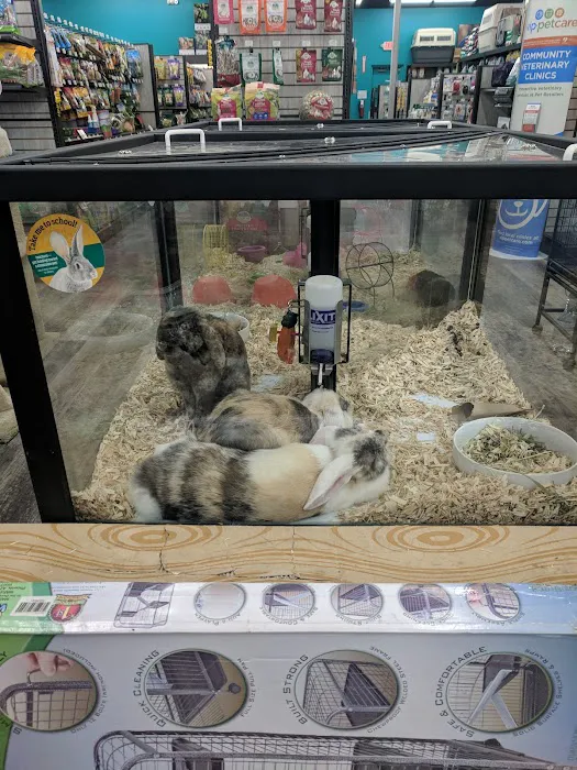 Pet Supermarket Picture 8
