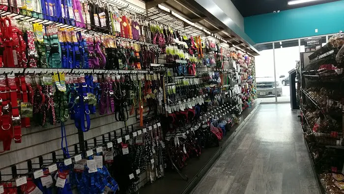 Pet Supermarket Picture 7