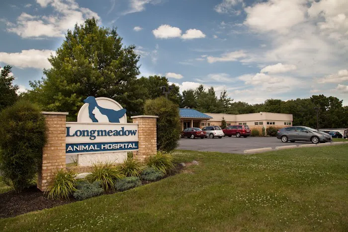 Longmeadow Animal Hospital Picture 5