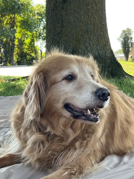 Longmeadow Animal Hospital Picture 9