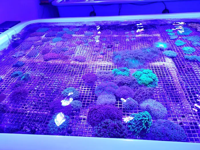 Austin Aqua Farms Picture 5