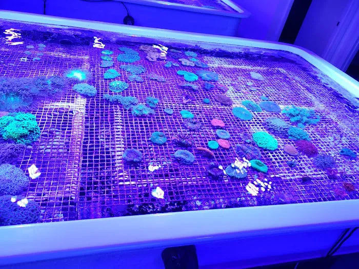 Austin Aqua Farms Picture 6