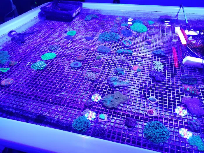 Austin Aqua Farms Picture 4