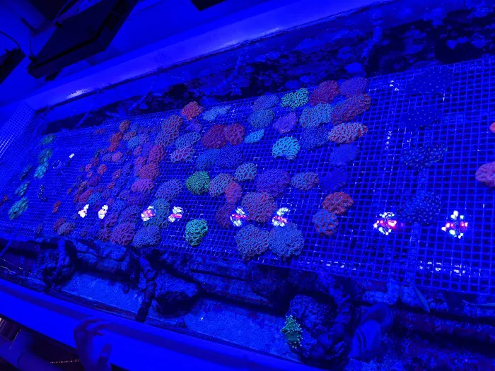 Austin Aqua Farms Picture 2