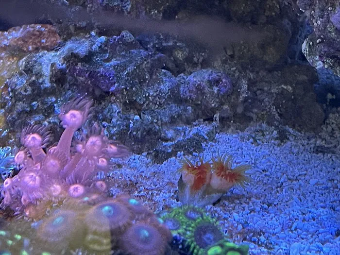 Austin Aqua Farms Picture 3