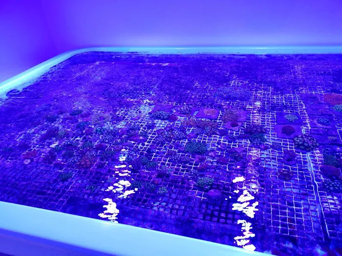 Austin Aqua Farms Picture 10