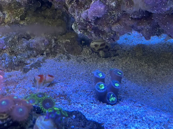 Austin Aqua Farms Picture 8