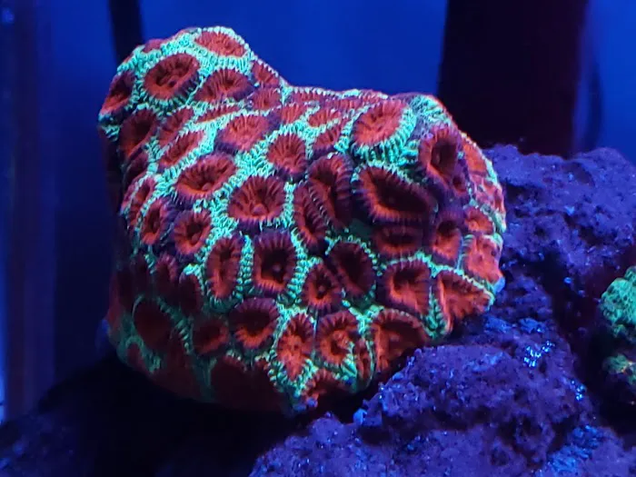 Austin Aqua Farms Picture 7