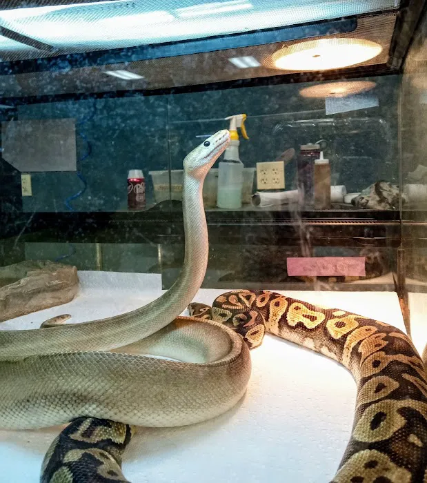 Zookeeper Exotics Picture 3