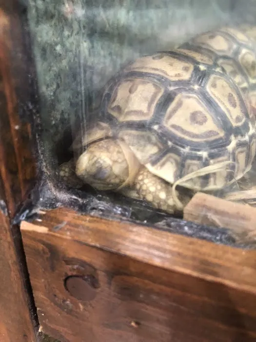 Zookeeper Exotics Picture 9