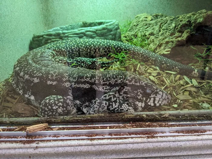 Zookeeper Exotics Picture 8