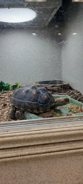 Zookeeper Exotics Picture 2