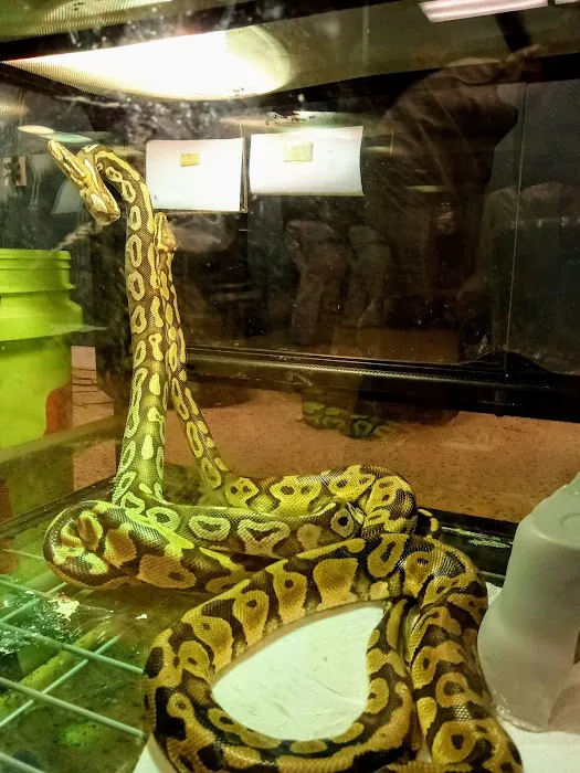 Zookeeper Exotics Picture 5