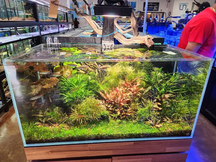 Aquatek Tropical Fish Picture 2