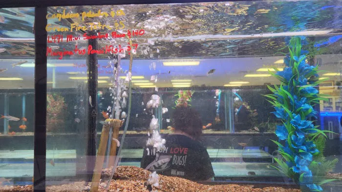 Aquatek Tropical Fish Picture 1