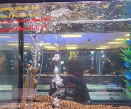 Aquatek Tropical Fish