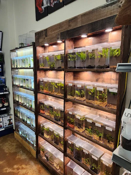 Aquatek Tropical Fish Picture 4