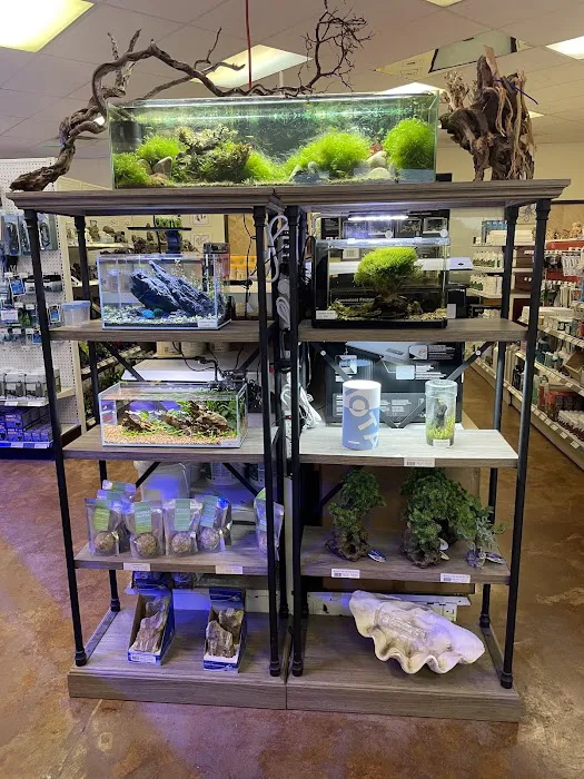 Aquatek Tropical Fish Picture 6