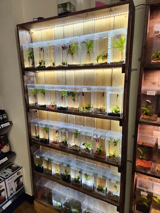 Aquatek Tropical Fish Picture 5