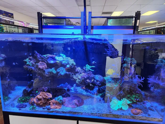 Aquatek Tropical Fish Picture 7