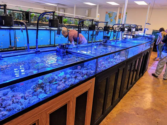 Aquatek Tropical Fish Picture 10