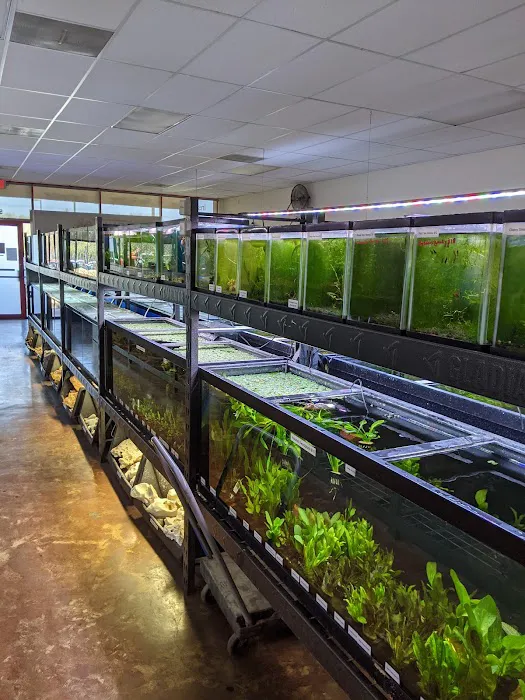Aquatek Tropical Fish Picture 8